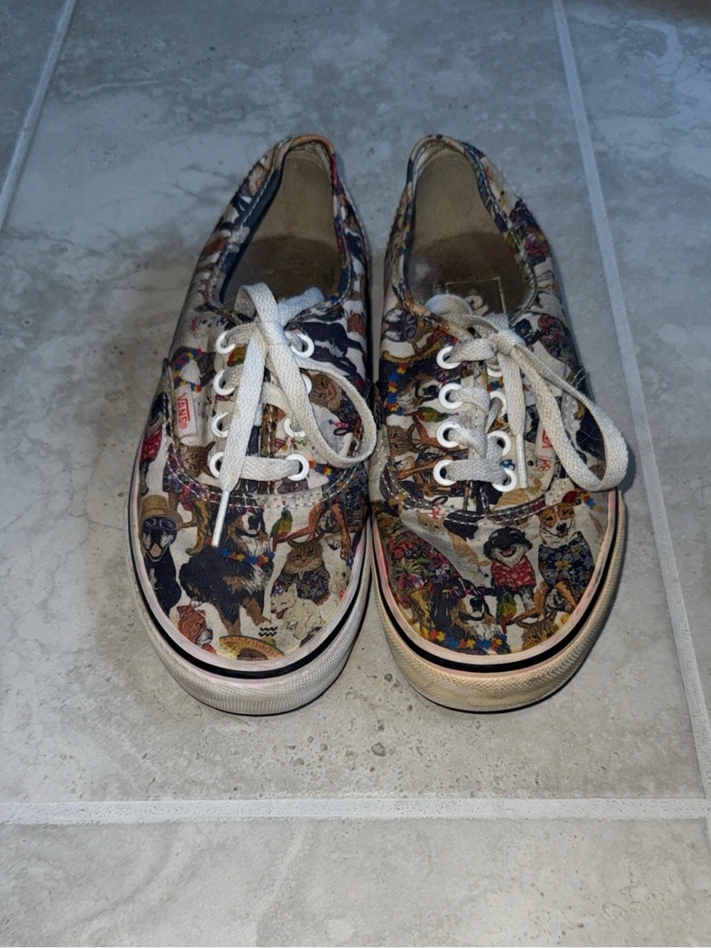 ASPCA dog vans